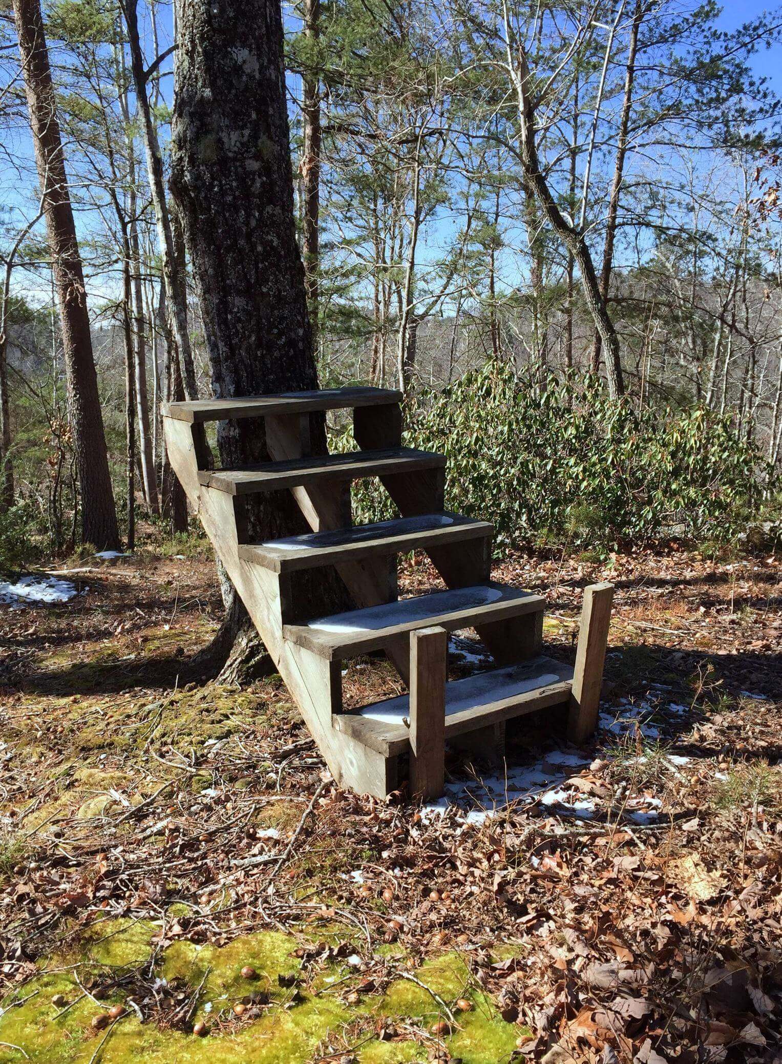 random stairs in the woods