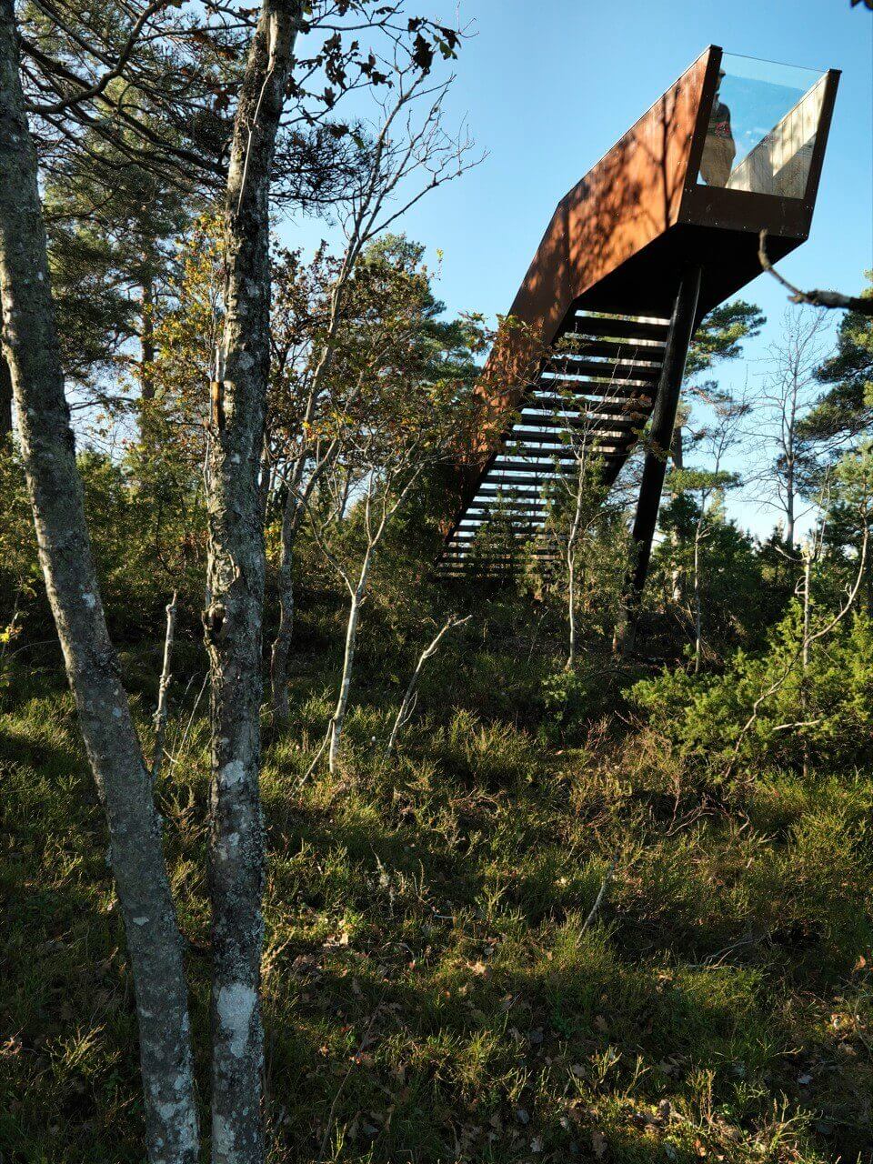 random stairs in the woods