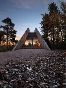 10+ Random Stairs in The Woods Taken From Reddit