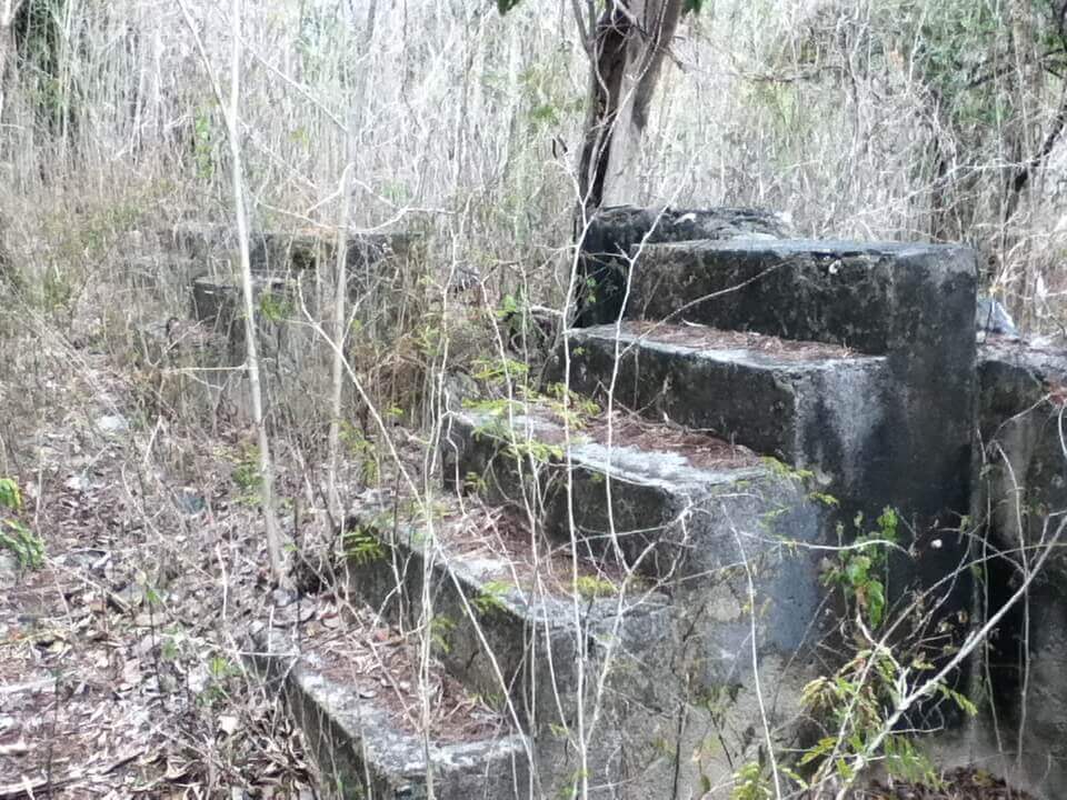 random stairs in the woods