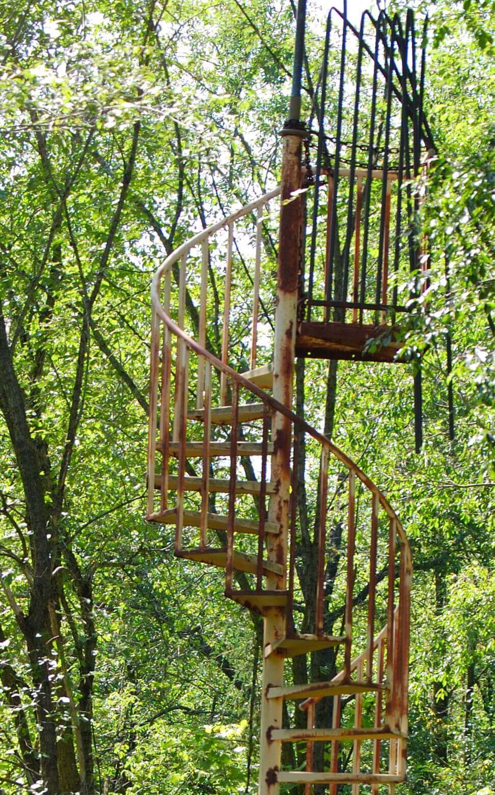 random stairs in the woods