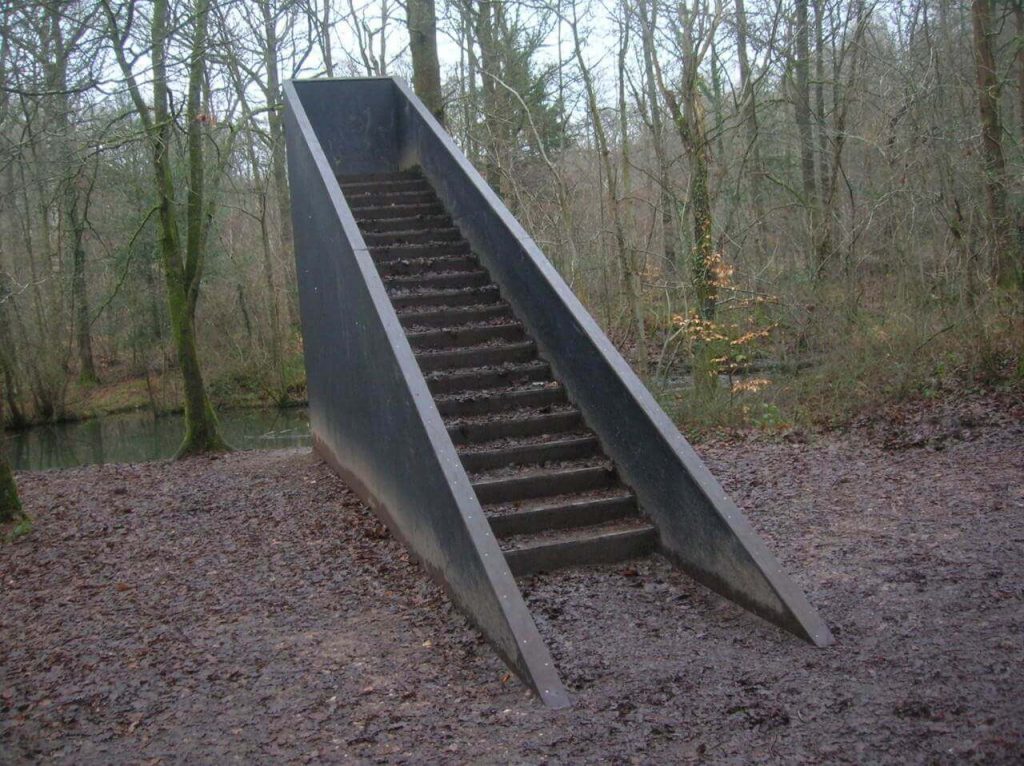 random stairs in the woods