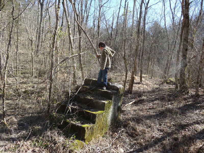 random stairs in the woods