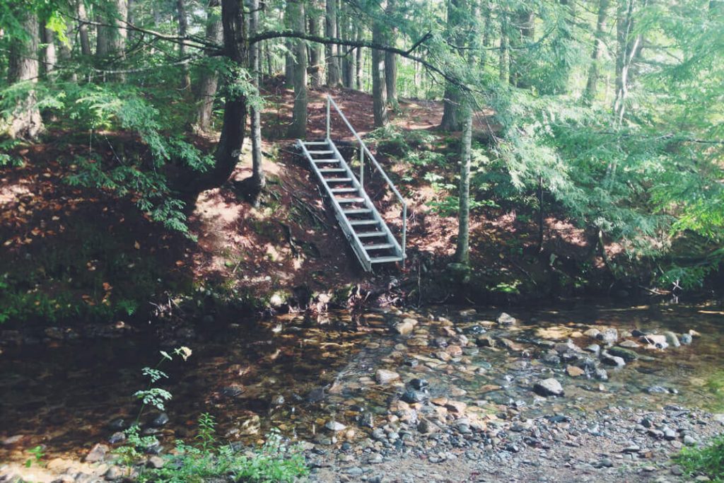 random stairs in the woods