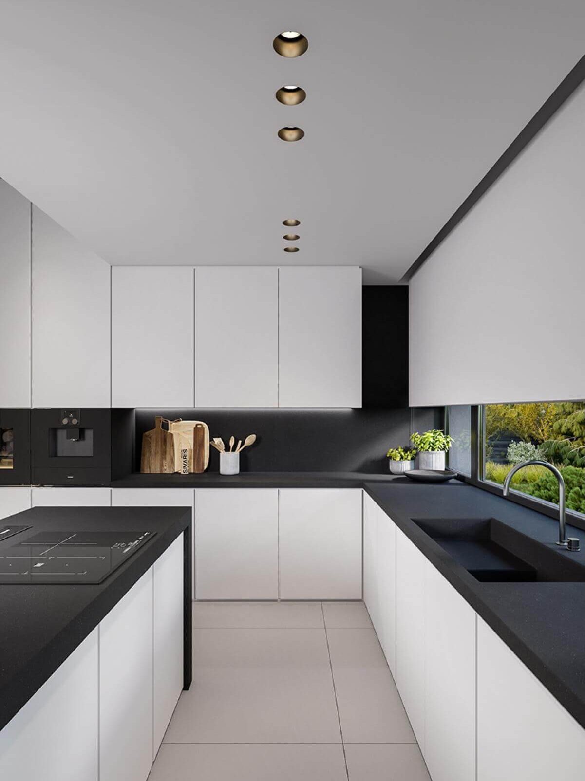 black and white kitchen