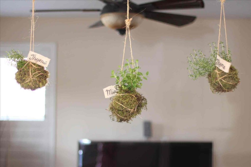 diy hanging planter