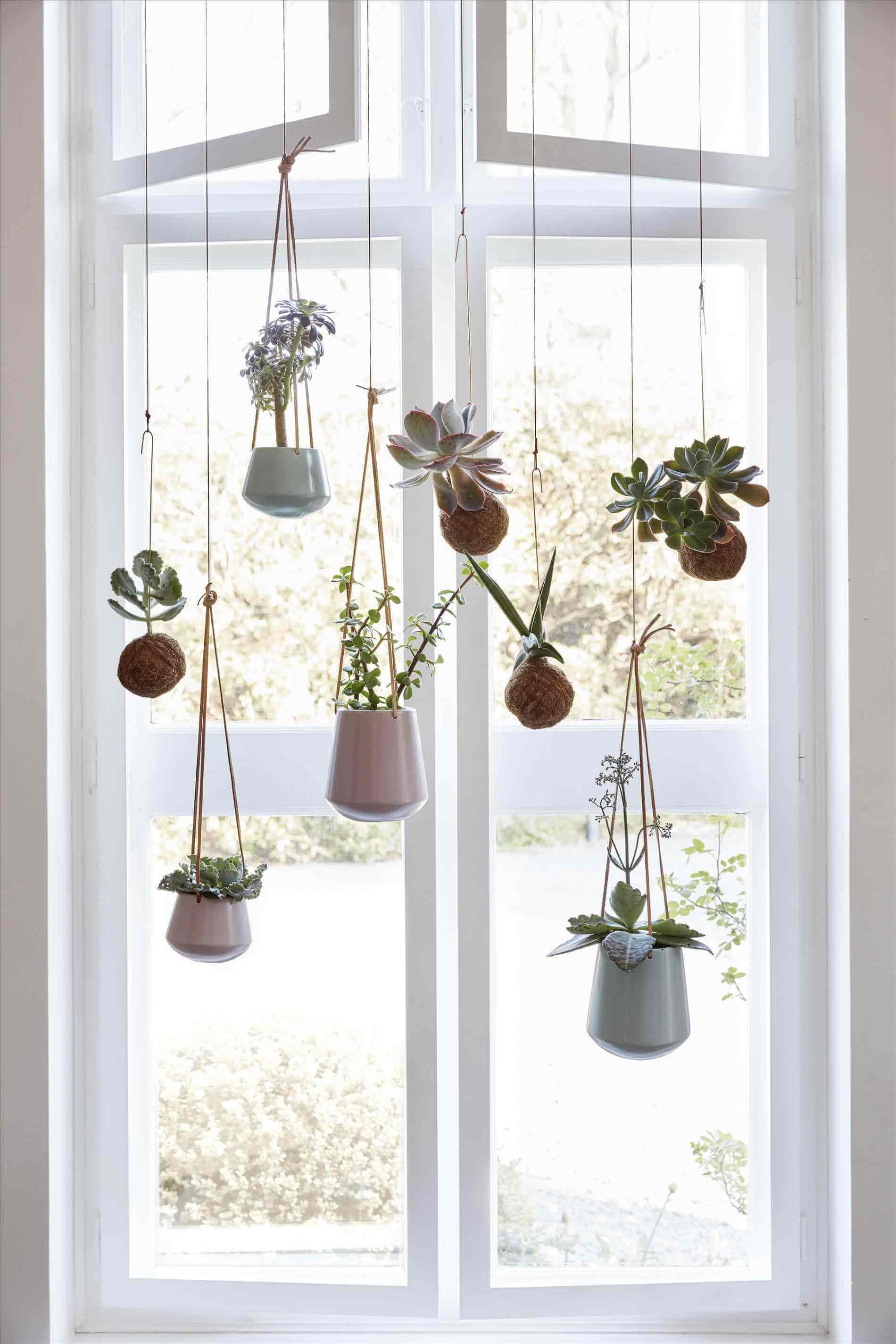 diy hanging planter