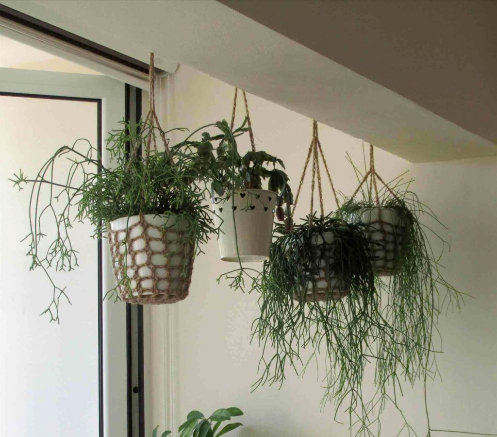 diy hanging planter