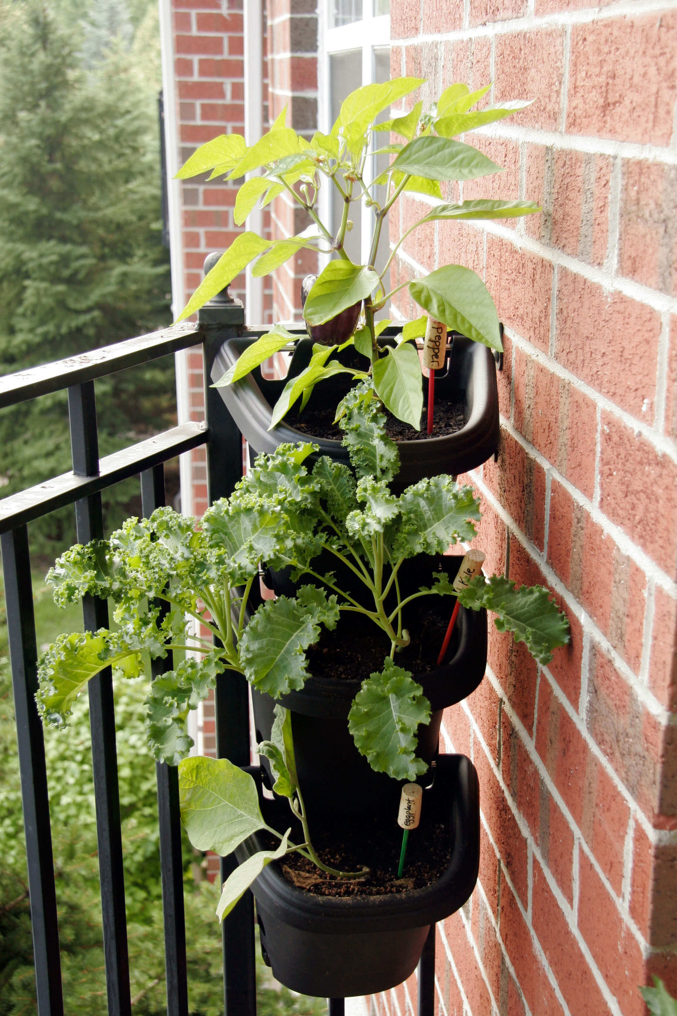 diy hanging planter