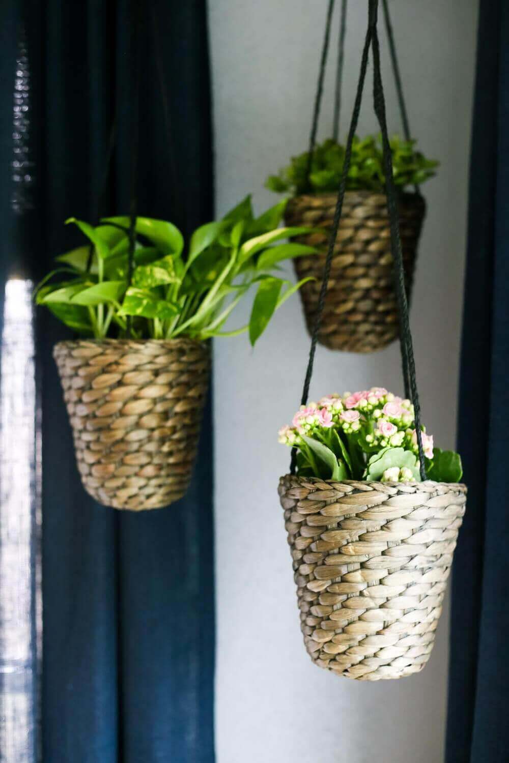 diy hanging planter