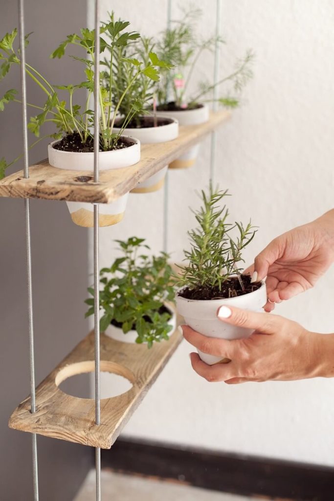 indoor herb garden ideas