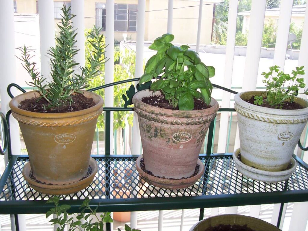 indoor herb garden ideas