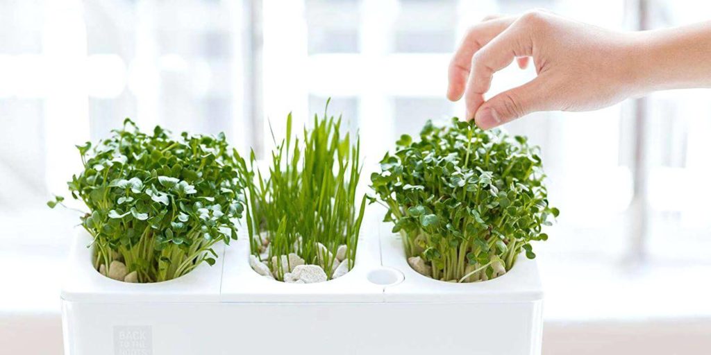 indoor herb garden ideas