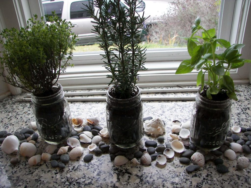 indoor herb garden ideas