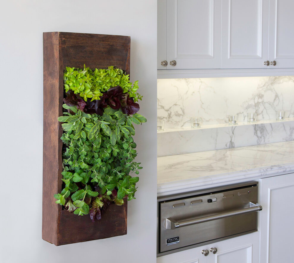 indoor herb garden ideas