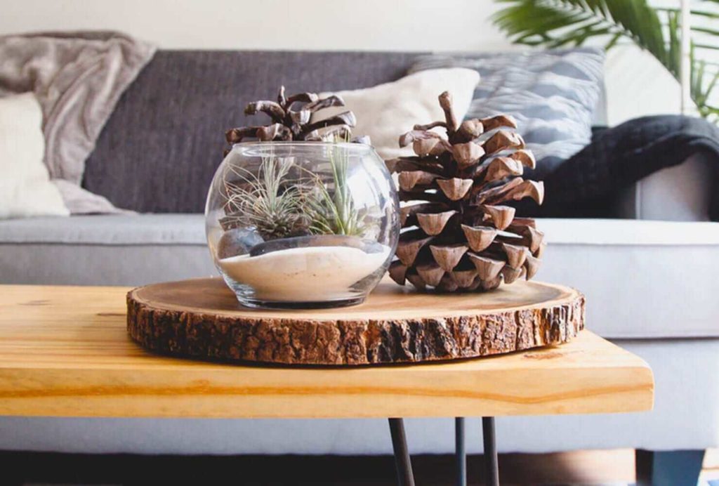 rustic coffee table ideas