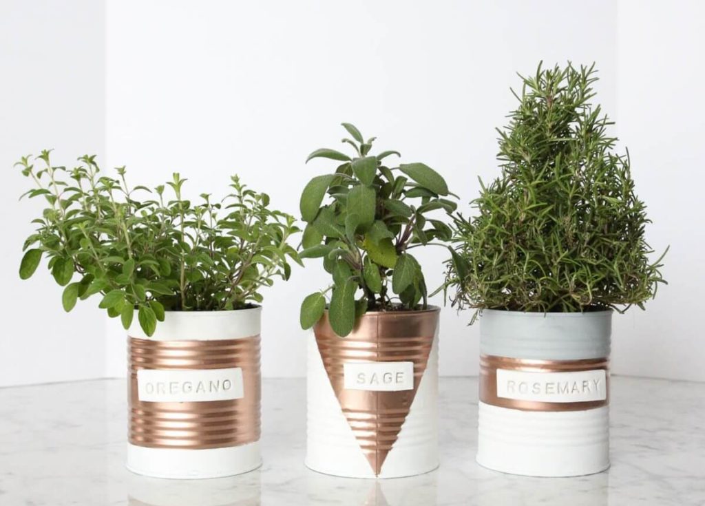 indoor herb garden ideas