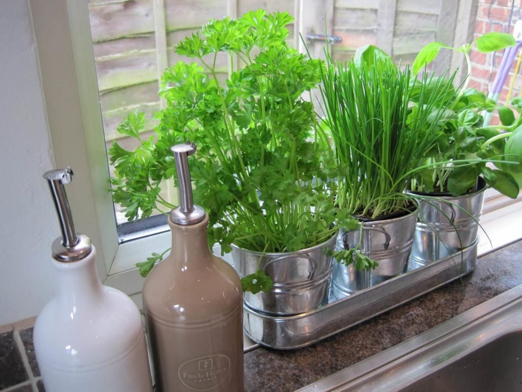 indoor herb garden ideas