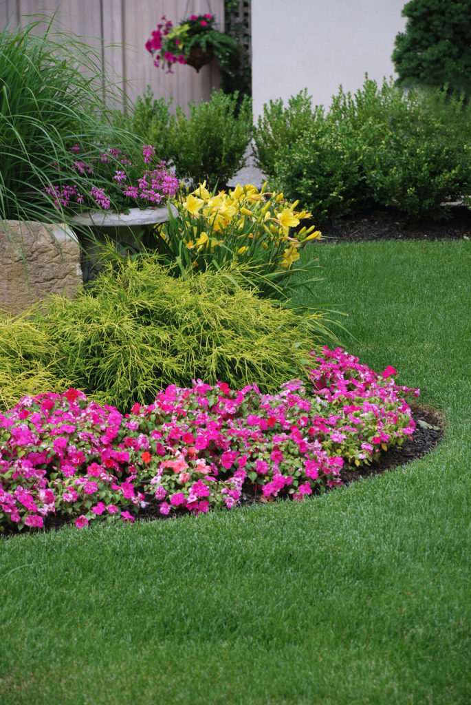 Landscape Design Tips