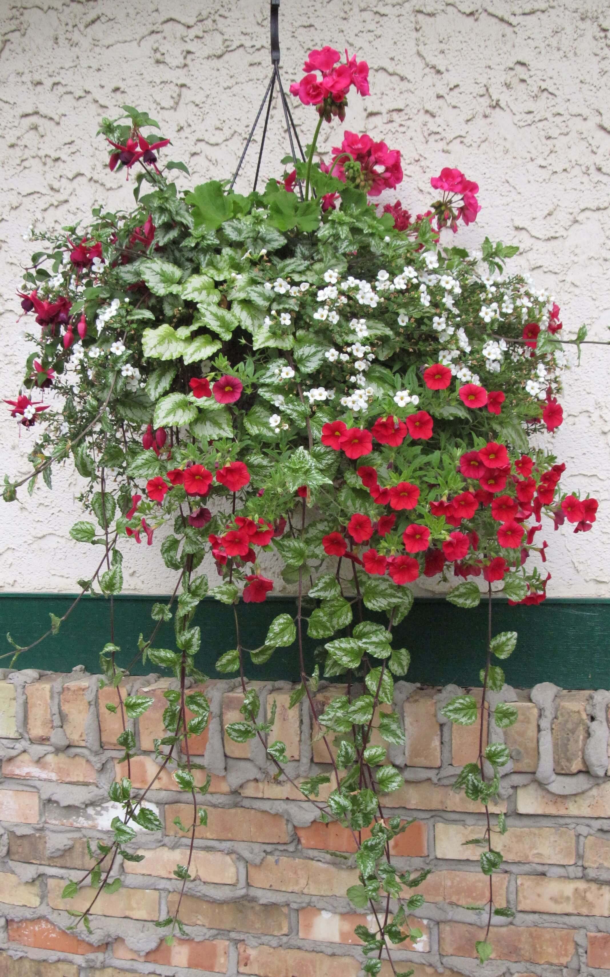 hanging flower pots for balcony