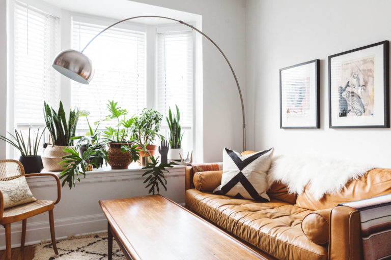 22 Stunning Ideas For Indoor House Plant