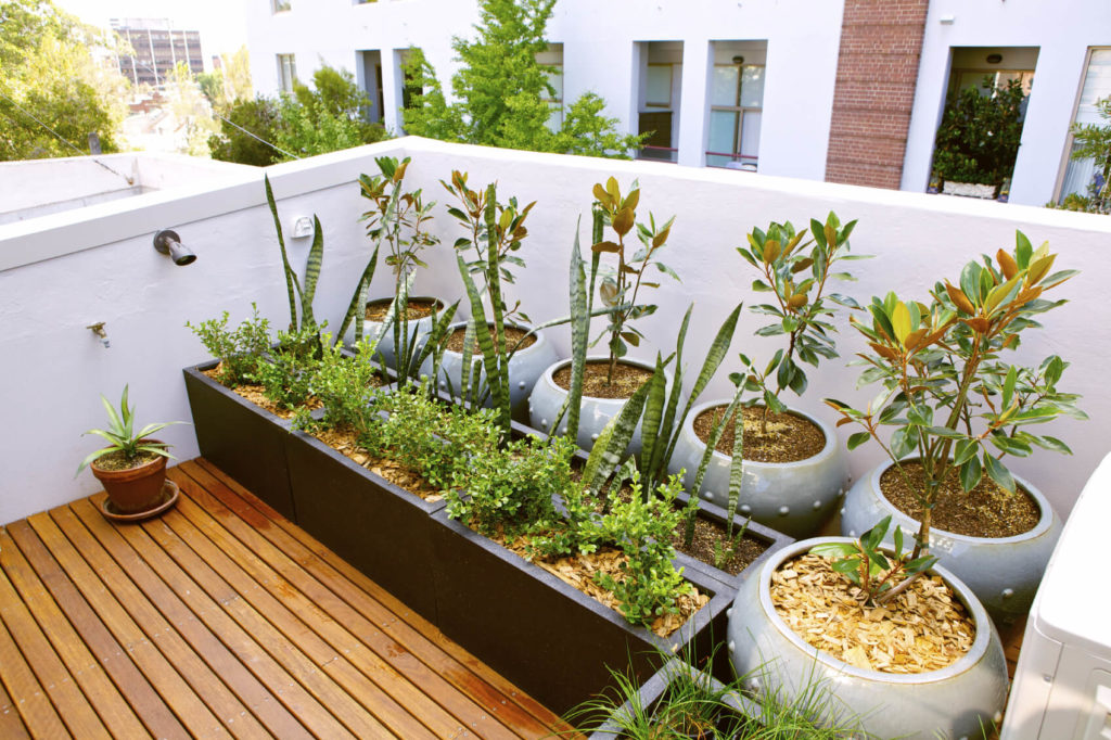 modern roof garden design