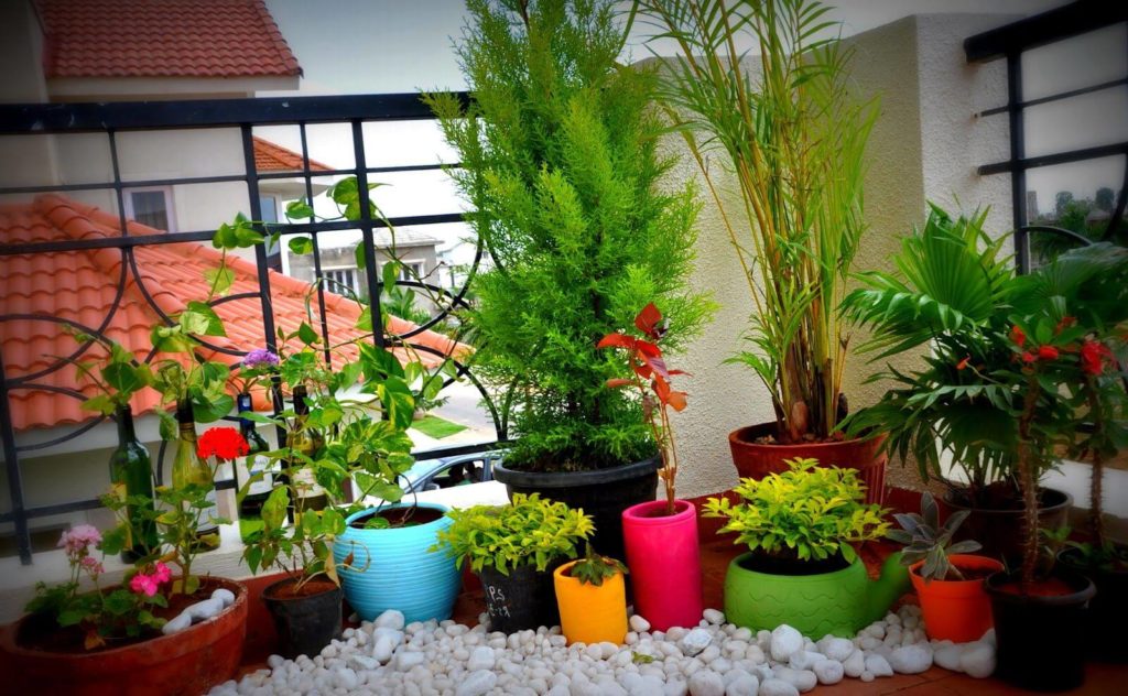 apartment balcony garden decorating ideas