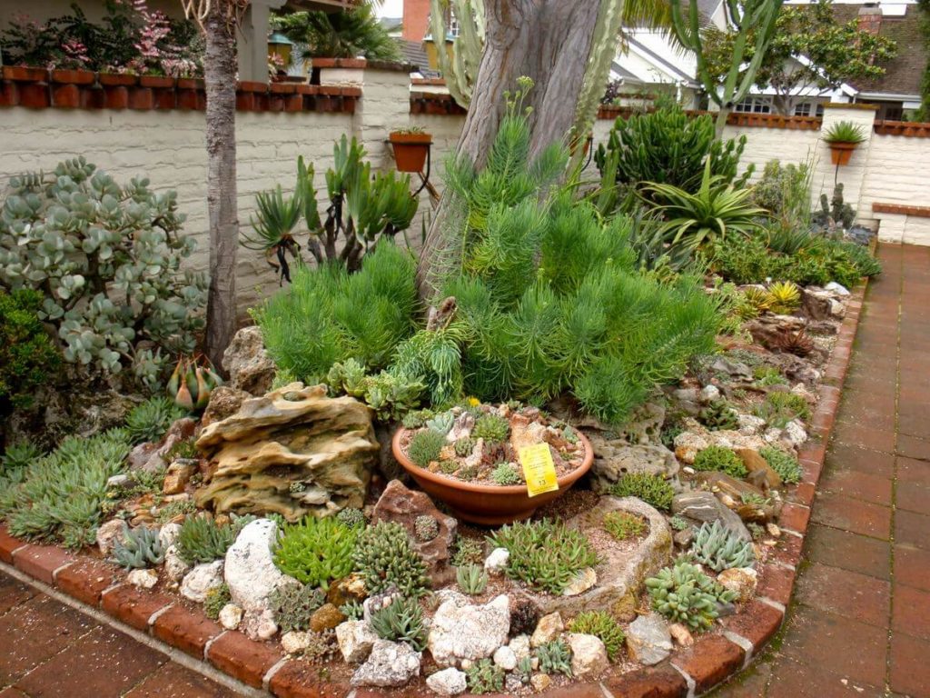 15 Outdoor Succulent Garden Ideas On Budget