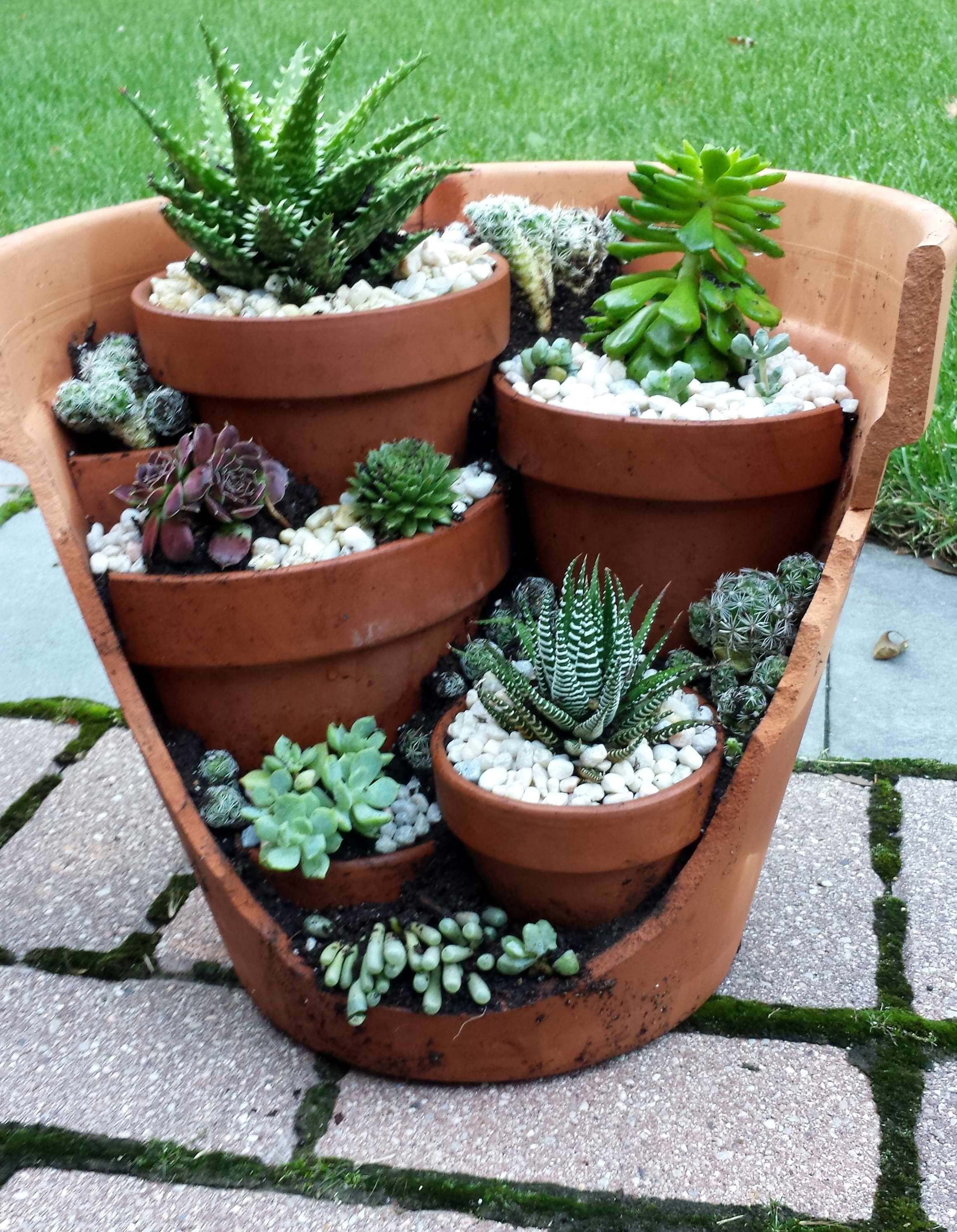 15 Outdoor Succulent Garden Ideas On Budget