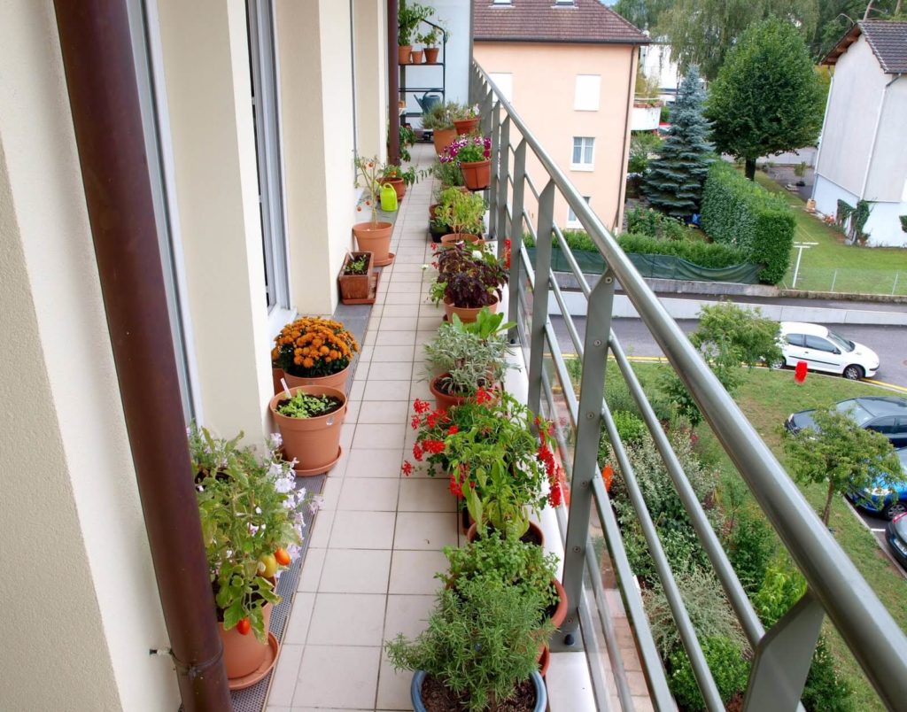 apartment balcony garden decorating ideas