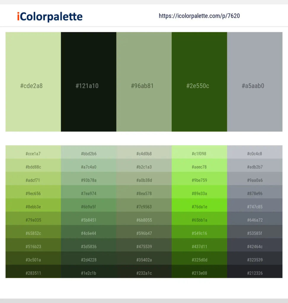 Sage green and Grey Color colour palette
