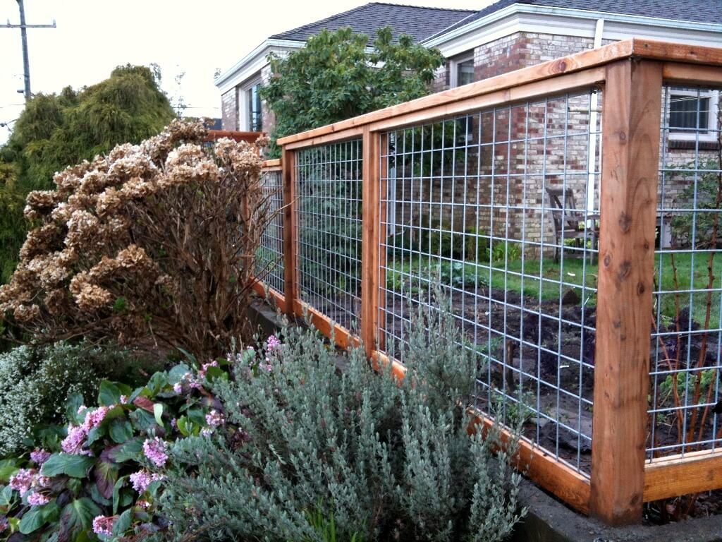 privacy fence ideas for backyard