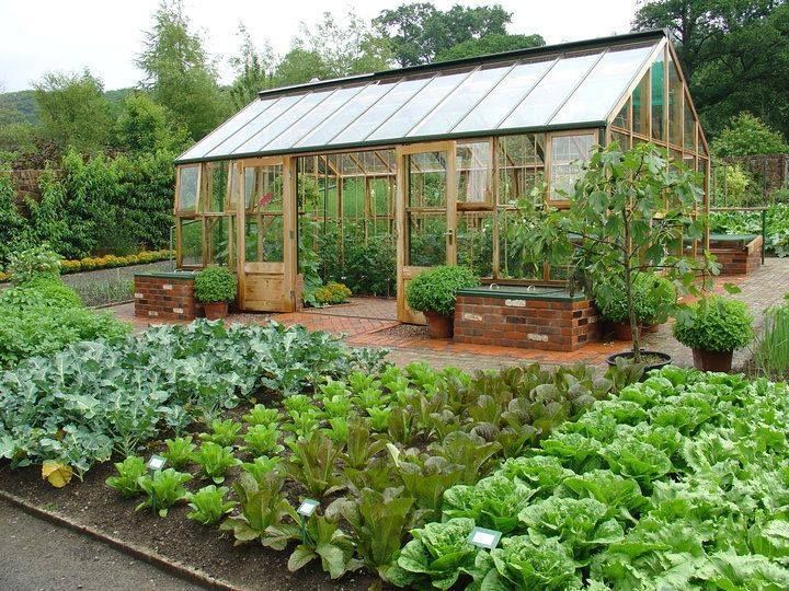 How To Use a Greenhouse For Beginners [ Beginner's Guide ]