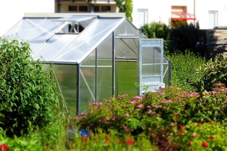 How To Use a Greenhouse For Beginners [ Beginner's Guide ]