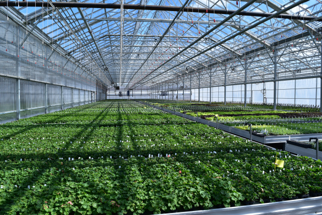 What is essential for a greenhouse