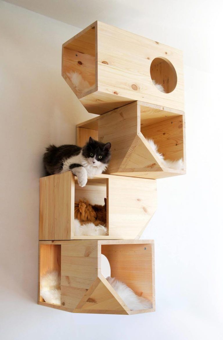 Cat House Design Images Modern Cat Houses Of 2024   Car House Designs 4 768x1170 