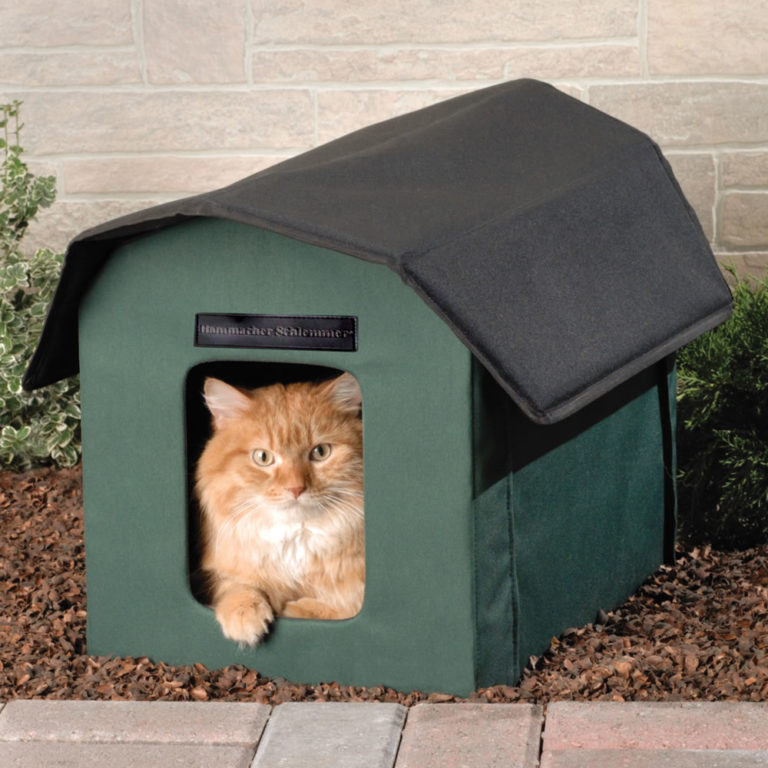 Cat House Design Images Modern Cat Houses of 2024