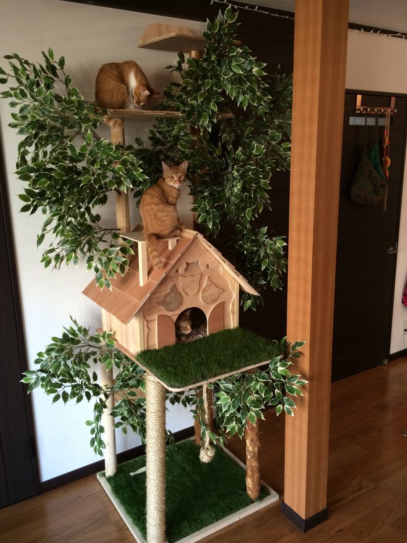 cat-house-design-images-modern-cat-houses-of-2024