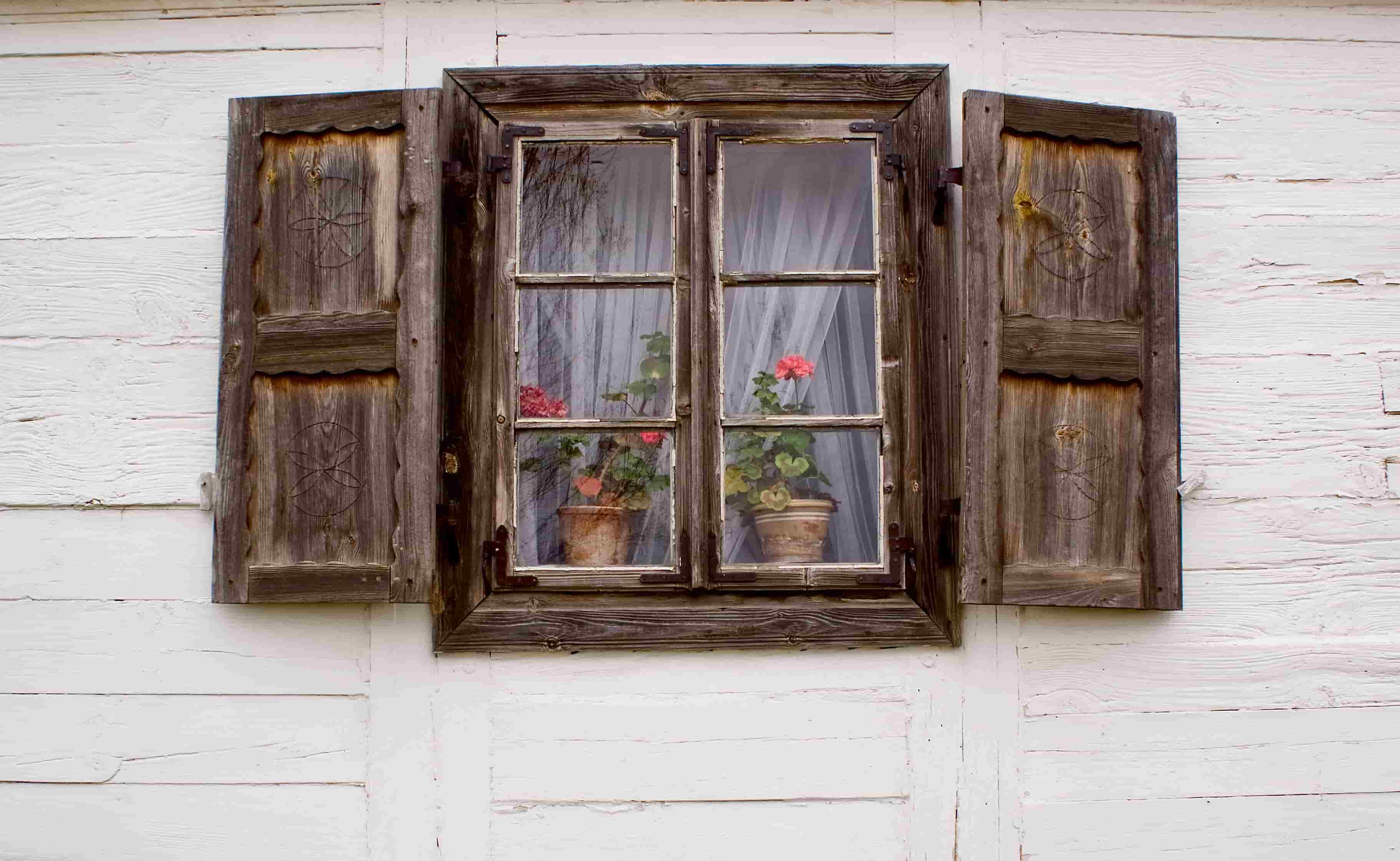 Flowers_in_the_window 4