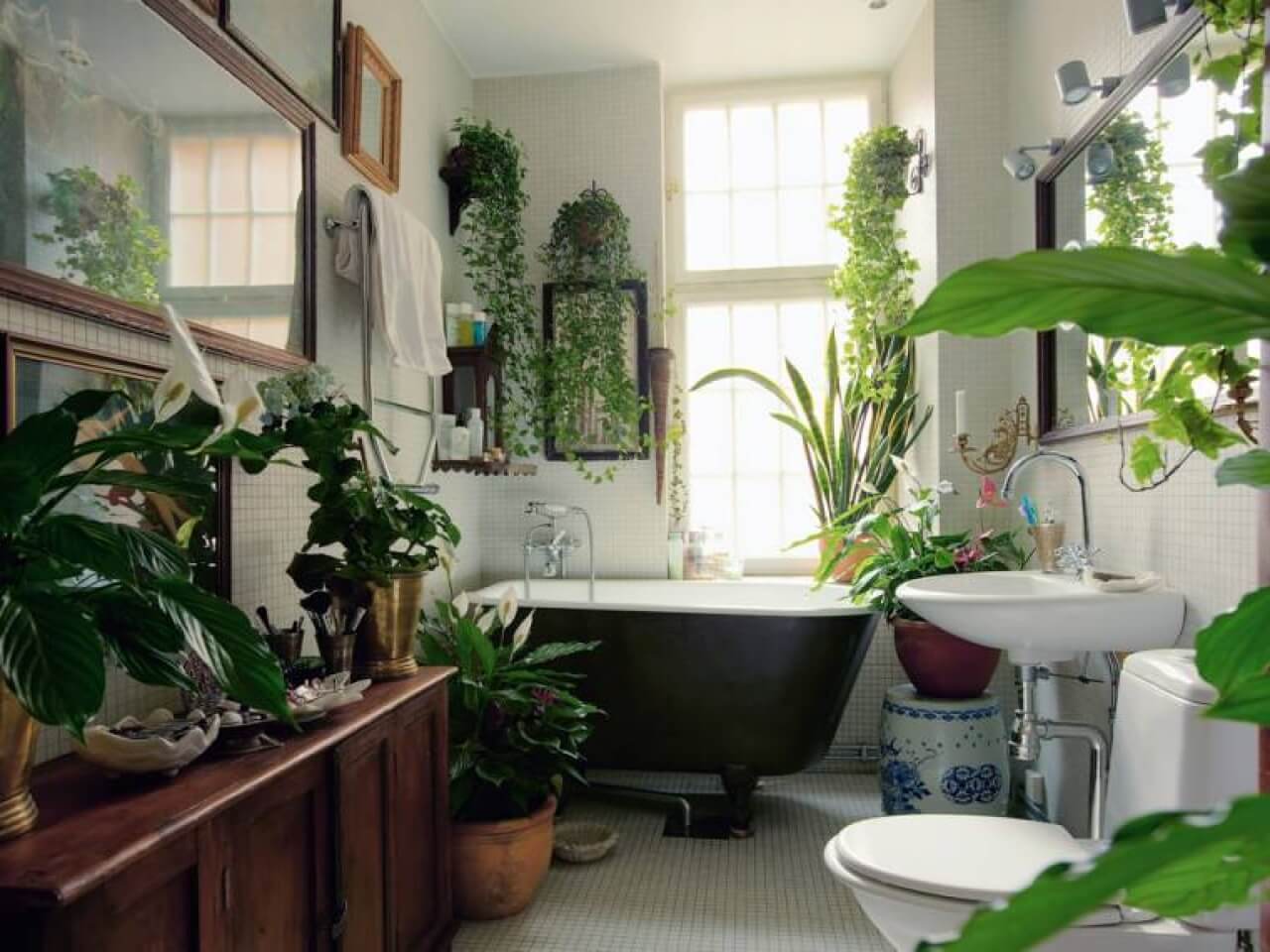 Tropical Bathroom Designs 6