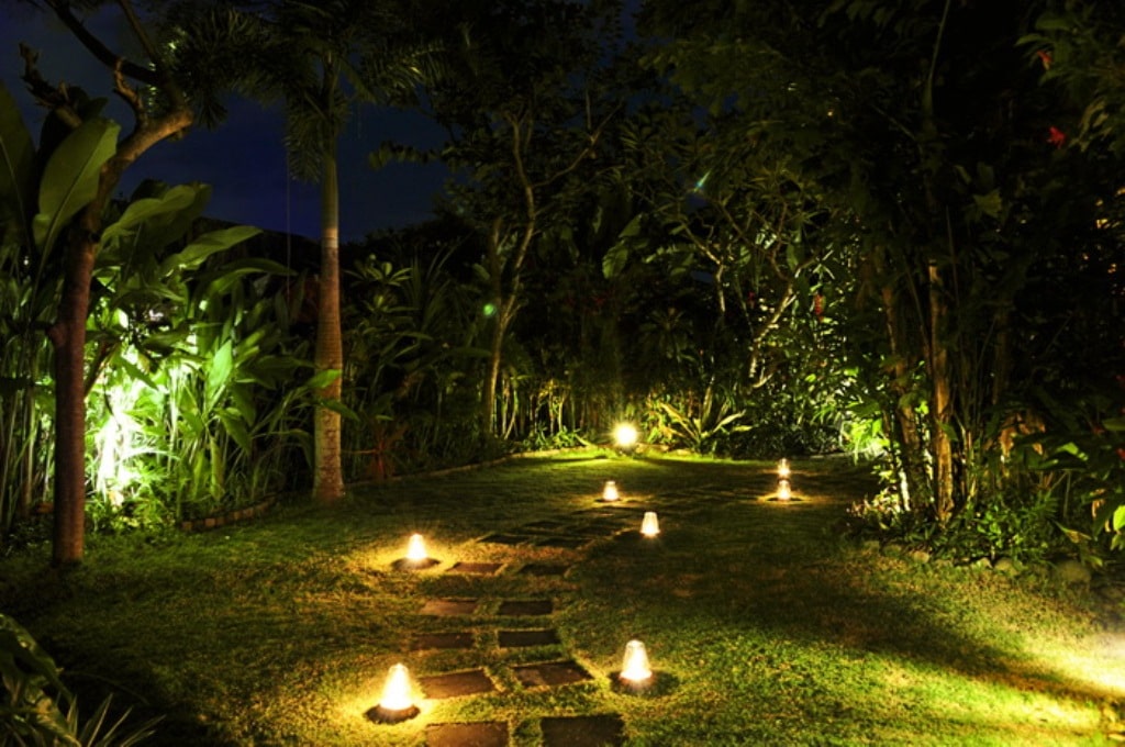 Mesmerizing Walkway Lighting