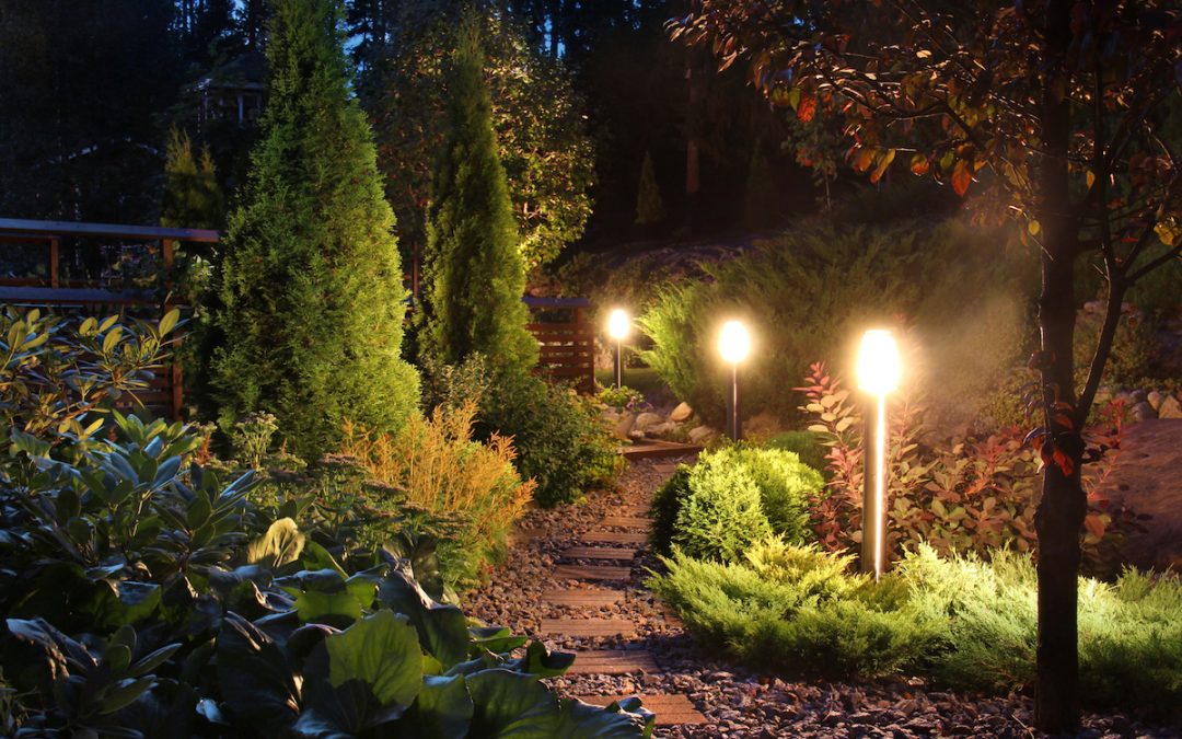 Mesmerizing Walkway Lighting