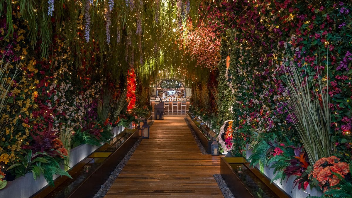 Mesmerizing Walkway Lighting