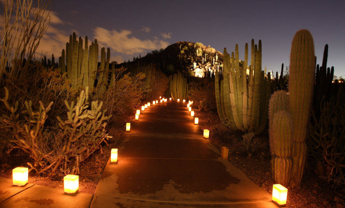 Mesmerizing Walkway Lighting