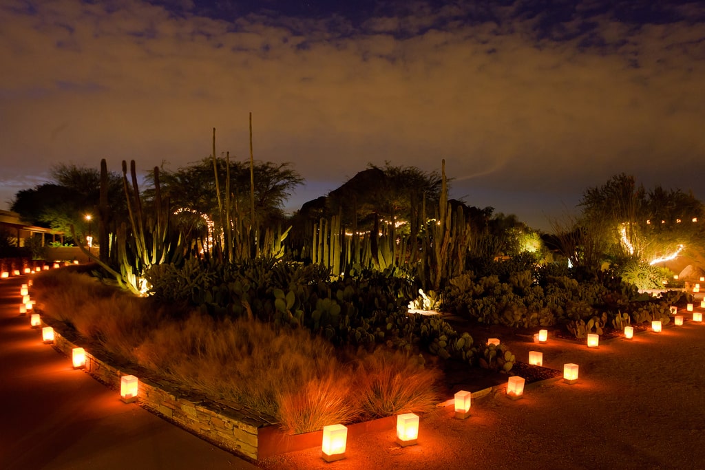 Mesmerizing Walkway Lighting