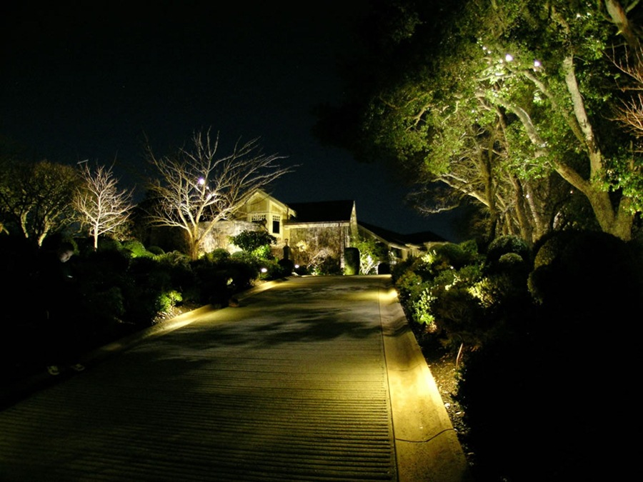 Mesmerizing Walkway Lighting