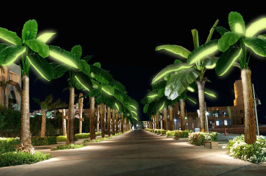 Mesmerizing Walkway Lighting