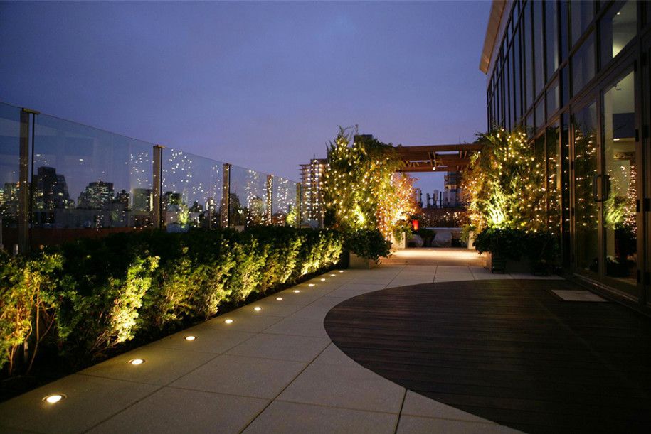 Mesmerizing Walkway Lighting