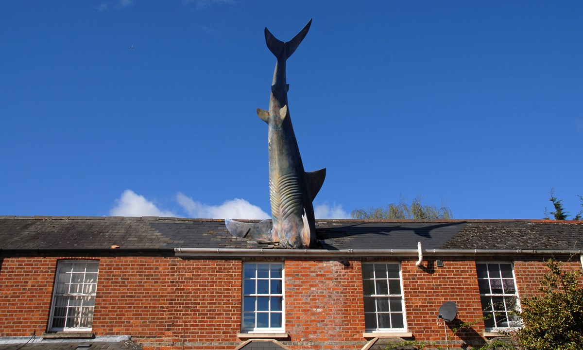 Worlds Top 20 Strangest House Designs That Will Amaze You The 