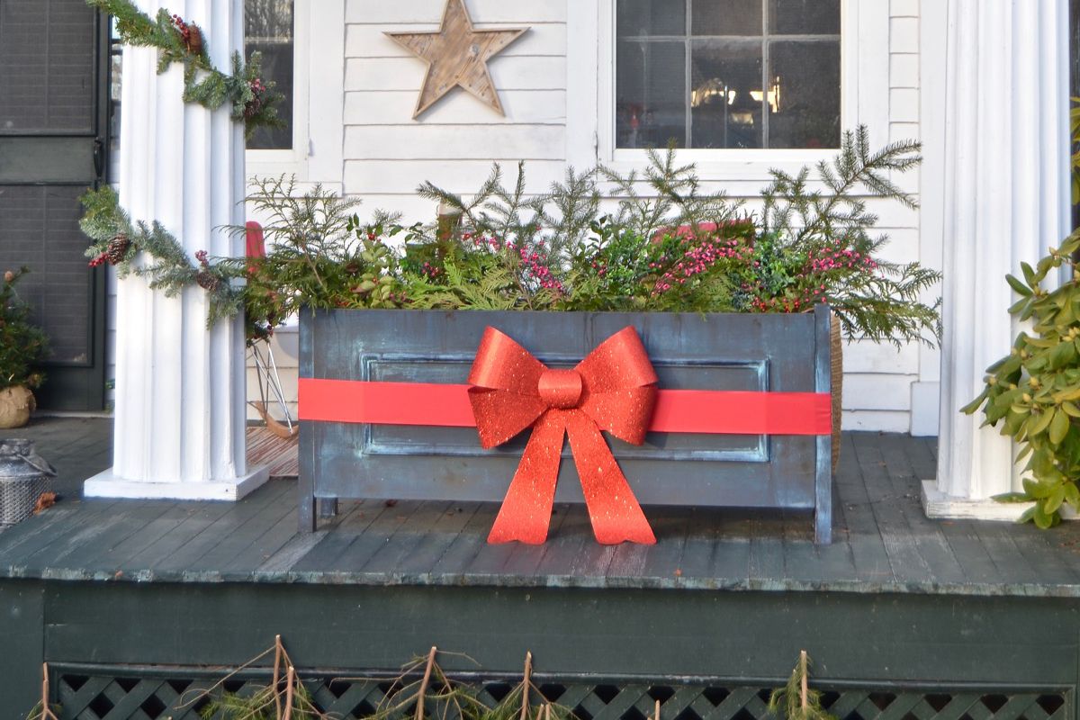 Decorate Backyard for Christmas